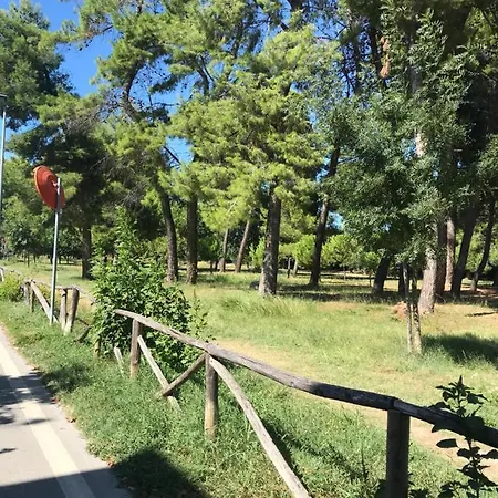 A Due Passi Dal Mare Διαμέρισμα *