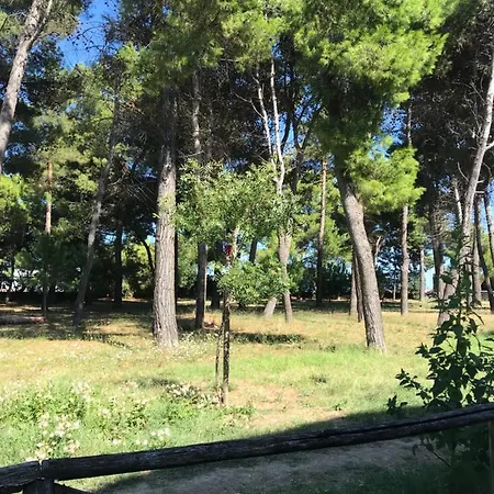 A Due Passi Dal Mare Montesilvano Marina