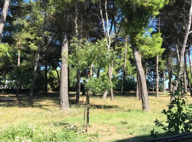 A Due Passi Dal Mare Монтесильвано